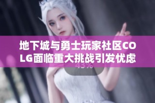 地下城与勇士玩家社区COLG面临重大挑战引发忧虑
