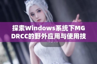 探索Windows系统下MGDRCC的野外应用与使用技巧