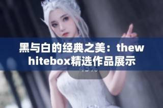 黑与白的经典之美：thewhitebox精选作品展示