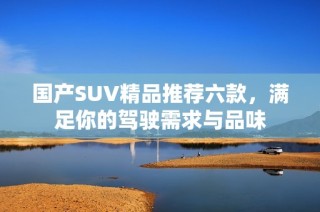 国产SUV精品推荐六款，满足你的驾驶需求与品味