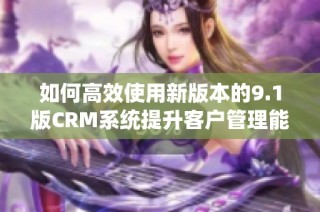 如何高效使用新版本的9.1版CRM系统提升客户管理能力