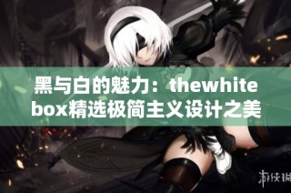 黑与白的魅力：thewhitebox精选极简主义设计之美