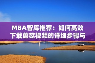 MBA智库推荐：如何高效下载蘑菇视频的详细步骤与技巧