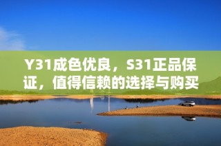 Y31成色优良，S31正品保证，值得信赖的选择与购买指南