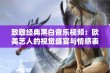 致敬经典黑白音乐视频：欧美艺人的视觉盛宴与情感表达