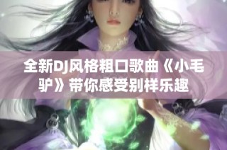 全新DJ风格粗口歌曲《小毛驴》带你感受别样乐趣