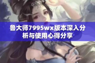 鲁大师7995wx版本深入分析与使用心得分享