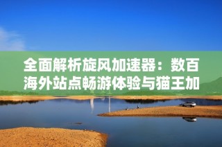 全面解析旋风加速器：数百海外站点畅游体验与猫王加速器对比