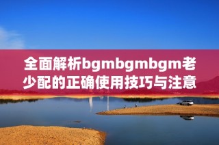 全面解析bgmbgmbgm老少配的正确使用技巧与注意事项