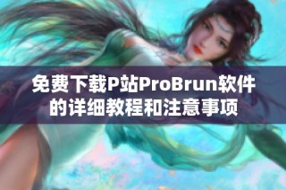 免费下载P站ProBrun软件的详细教程和注意事项