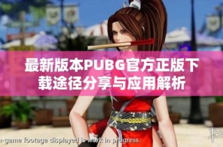 最新版本PUBG官方正版下载途径分享与应用解析