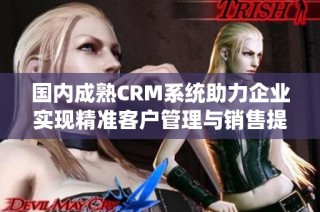 国内成熟CRM系统助力企业实现精准客户管理与销售提升