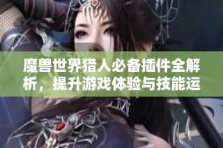 魔兽世界猎人必备插件全解析，提升游戏体验与技能运用技巧