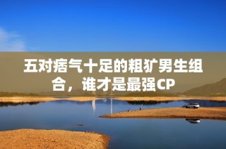 五对痞气十足的粗犷男生组合，谁才是最强CP