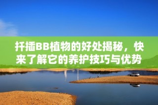 扦插BB植物的好处揭秘，快来了解它的养护技巧与优势！