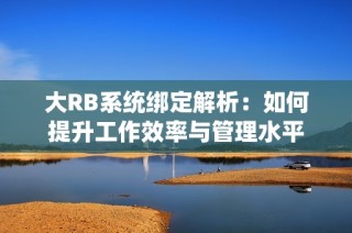 大RB系统绑定解析：如何提升工作效率与管理水平