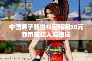 中国男子魏世杉因贿赂30元新币被控入境违法