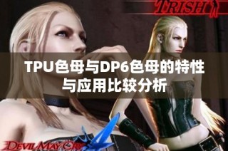 TPU色母与DP6色母的特性与应用比较分析