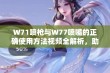 W71喷枪与W77喷嘴的正确使用方法视频全解析，助您轻松掌握技巧