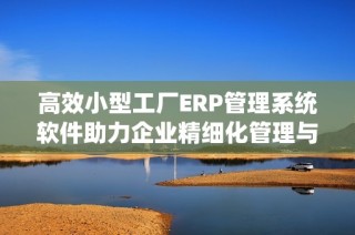 高效小型工厂ERP管理系统软件助力企业精细化管理与决策