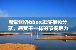 精彩国外bbox表演视频分享，感受不一样的节奏魅力