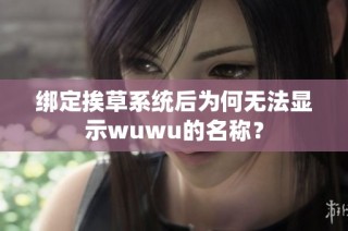 绑定挨草系统后为何无法显示wuwu的名称？