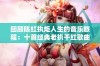 回顾陈红执炬人生的音乐旅程：十首经典老扒干红歌曲精选