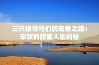 三只狼哥哥们的宠爱之路：宋钦的甜蜜人生揭秘