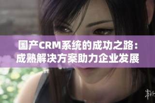 国产CRM系统的成功之路：成熟解决方案助力企业发展