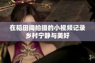 在稻田间拍摄的小视频记录乡村宁静与美好