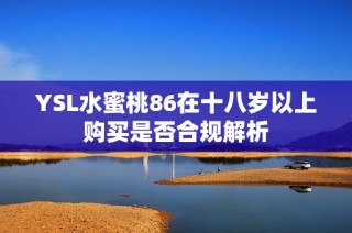 YSL水蜜桃86在十八岁以上购买是否合规解析