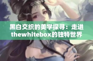 黑白交织的美学探寻：走进thewhitebox的独特世界