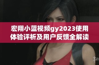 宏翔小蓝视频gy2023使用体验评析及用户反馈全解读