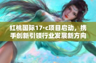 红桃国际17·c项目启动，携手创新引领行业发展新方向