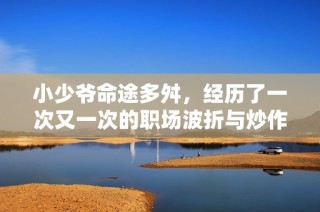 小少爷命途多舛，经历了一次又一次的职场波折与炒作