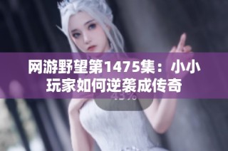 网游野望第1475集：小小玩家如何逆袭成传奇