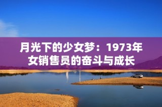 月光下的少女梦：1973年女销售员的奋斗与成长