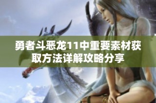勇者斗恶龙11中重要素材获取方法详解攻略分享