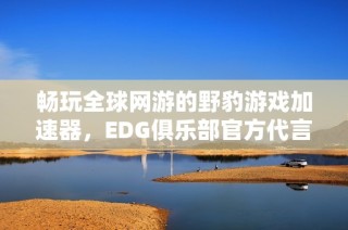 畅玩全球网游的野豹游戏加速器，EDG俱乐部官方代言加速必备工具