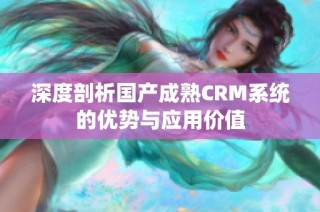 深度剖析国产成熟CRM系统的优势与应用价值