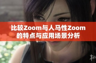 比较Zoom与人马性Zoom的特点与应用场景分析