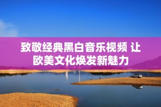 致敬经典黑白音乐视频 让欧美文化焕发新魅力