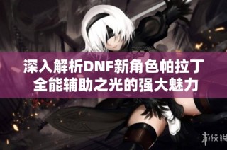 深入解析DNF新角色帕拉丁 全能辅助之光的强大魅力与潜力