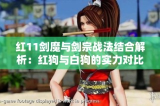 红11剑魔与剑宗战法结合解析：红狗与白狗的实力对比