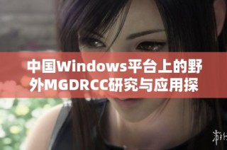 中国Windows平台上的野外MGDRCC研究与应用探讨