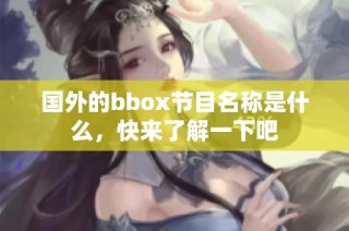 国外的bbox节目名称是什么，快来了解一下吧