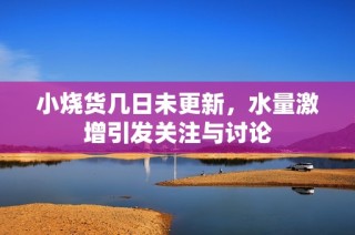 小烧货几日未更新，水量激增引发关注与讨论