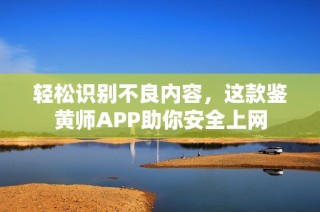 轻松识别不良内容，这款鉴黄师APP助你安全上网