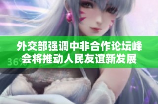 外交部强调中非合作论坛峰会将推动人民友谊新发展