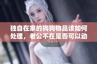 独自在家的狗狗物品该如何处理，老公不在是否可以动用